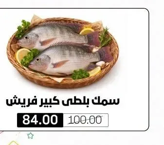 سمك بلطي كبير فريش