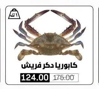 كابوريا ذكر فريش
