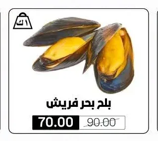 بلح بحر فريش