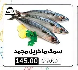 سمك ماكريل مجمد
