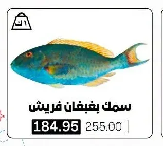سمك ببغاء فريش