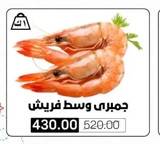جمبري وسط فريش