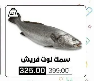 سمك لوت فريش