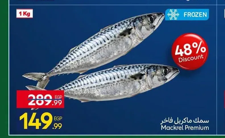 سمك ماكريل فاخر