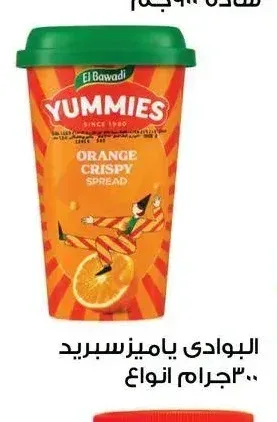 البوادى ياميزسبريد ٣٠٠ جرام انواع