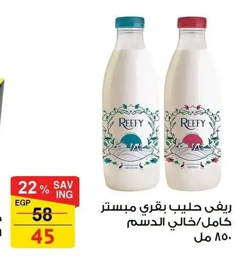 ريفي حليب بقري مبستر كامل/خالي الدسم ٨٥٠ مل