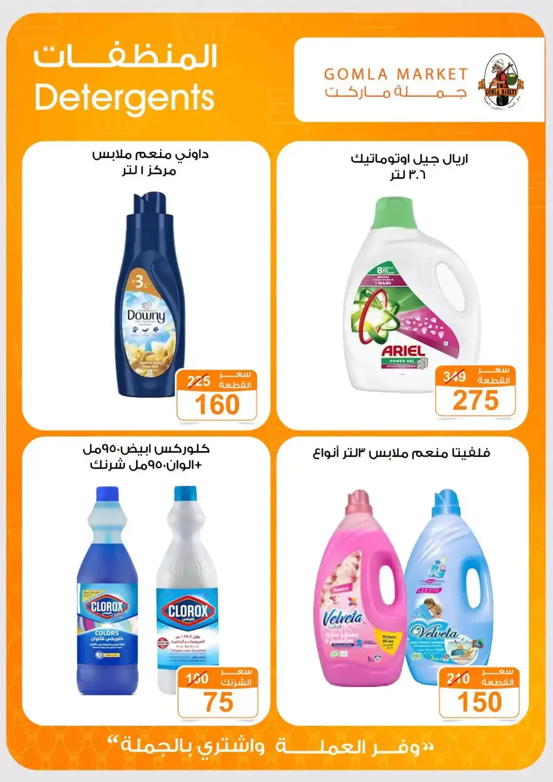 صفحة 24