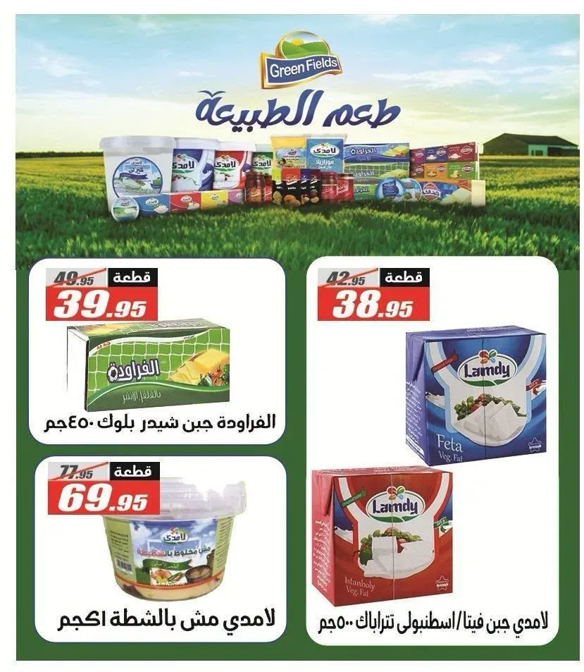 صفحة 15