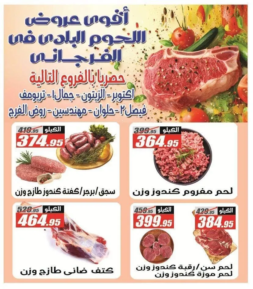 صفحة 17