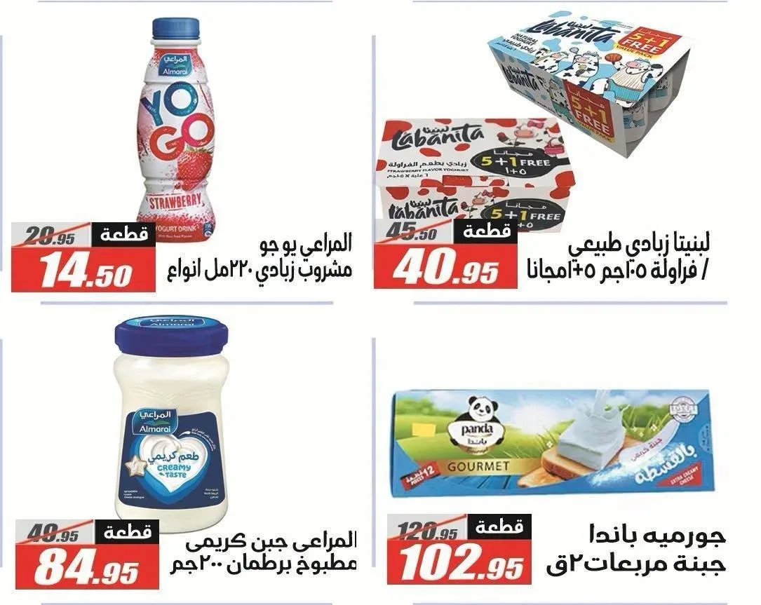 صفحة 21