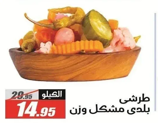 طرشى بلدى مشكل