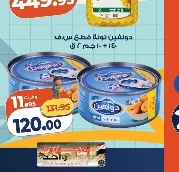 دولفين تونة قطع