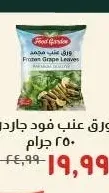 ورق عنب فود جاردن 250 جرام