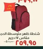 شنطة ظهر متوسطة الحجم مقاس 17 دريم