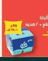 زبادي طبيعي أليانا 105 جرام 6 قطع + 2 هدية