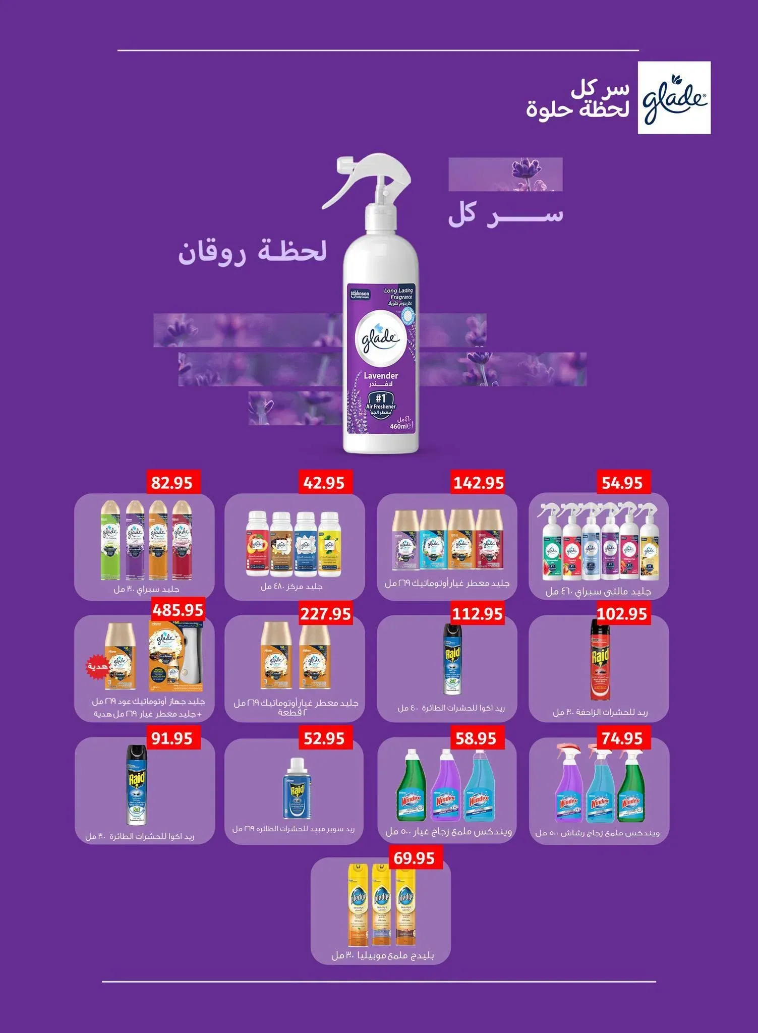 صفحة 10