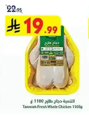 التنمية دجاج طازج