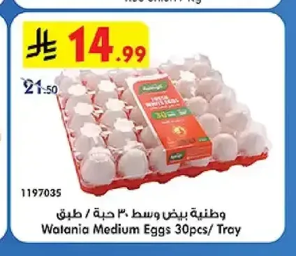 وطنية بيض وسط