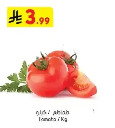 طماطم / كيلو