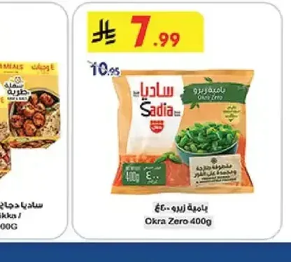 ساديا دجاج تكا / شيش طاووق ٤٠٠ جرام
