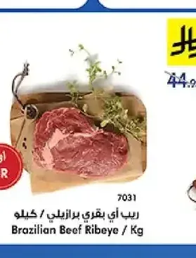 ريب أي بقري برازيلي