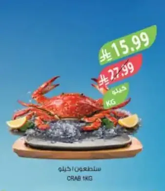سلطعون ١كجم