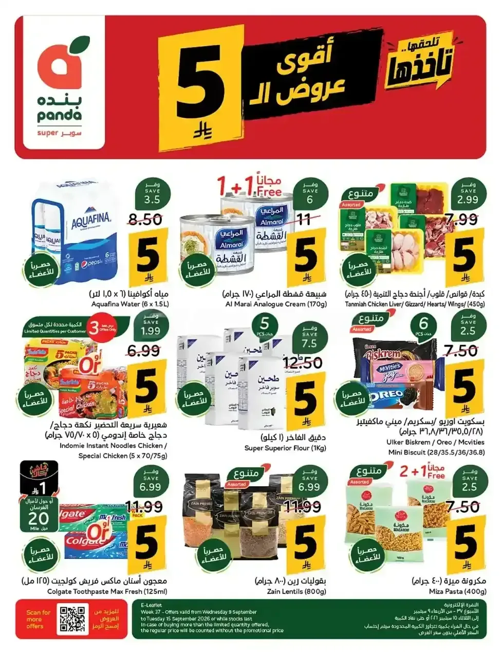 صفحة 2