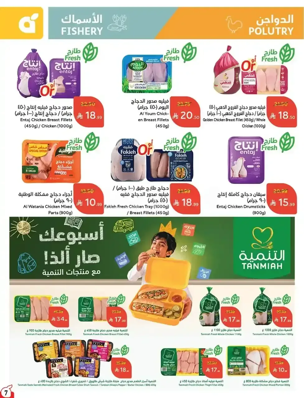 صفحة 8
