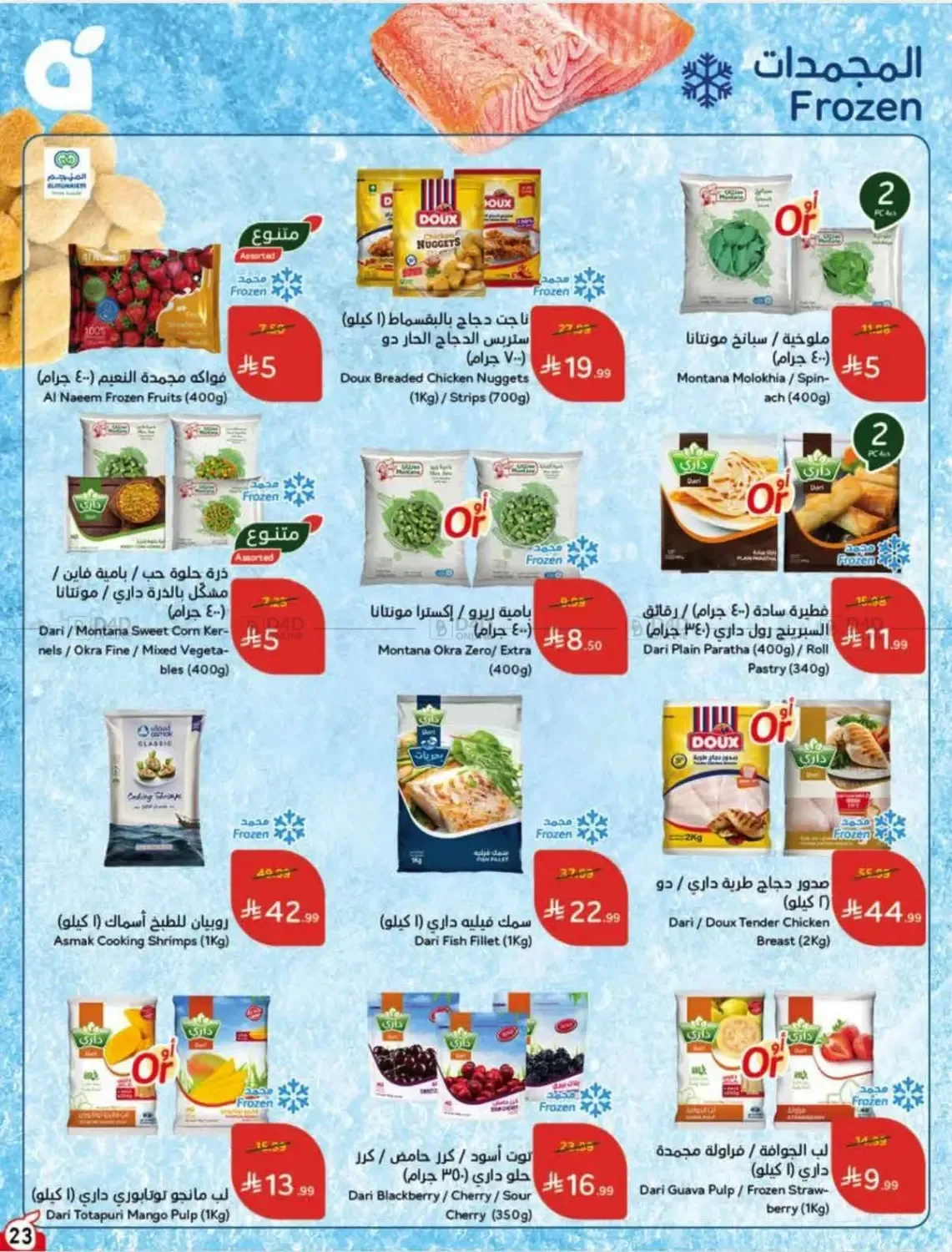 صفحة 24