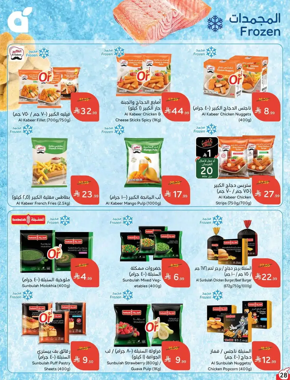 صفحة 28