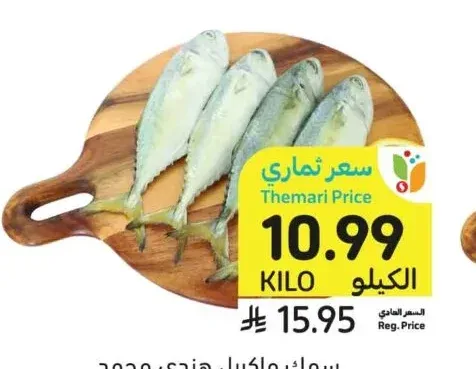 سمك ماكيرل هندي مجمد