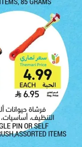 فرشاة حيوانات أليفة أو ذاتية التنظيف، أساسيات، أصناف متنوعة