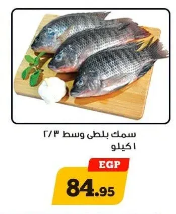 سمك بلطي وسط 2/3 1 كجم