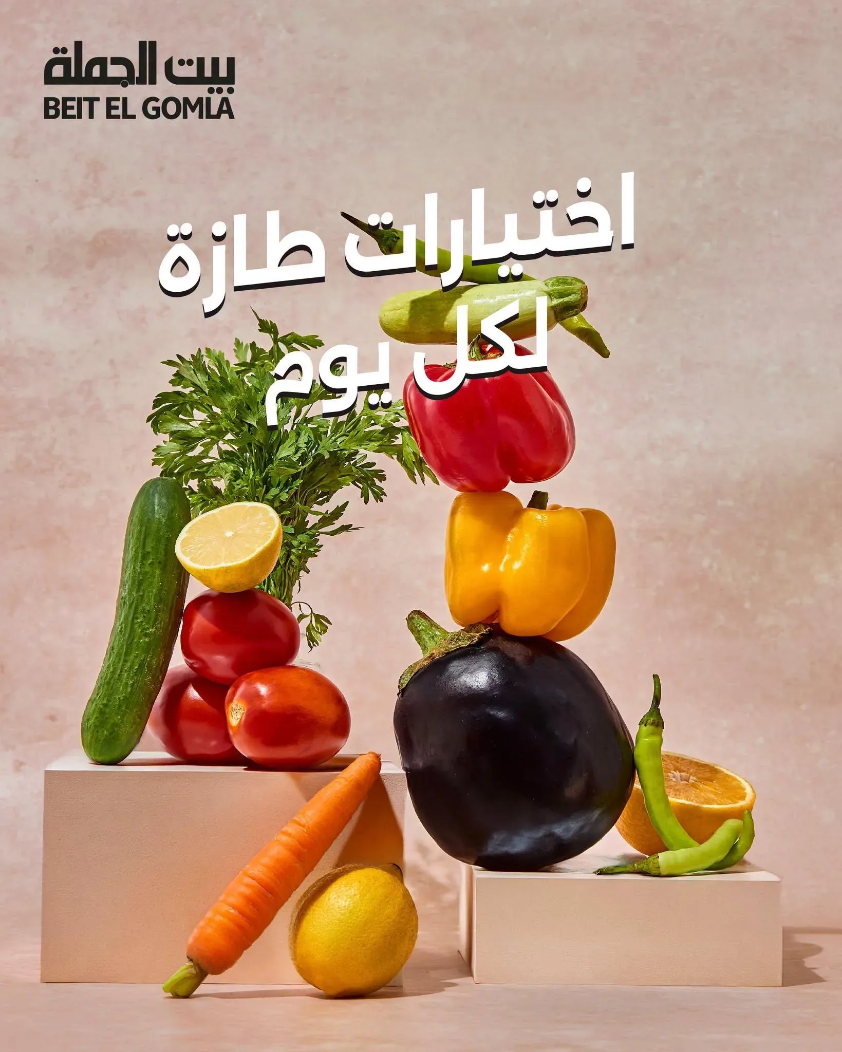 بيت الجملة — اختيارات طازة لكل يوم