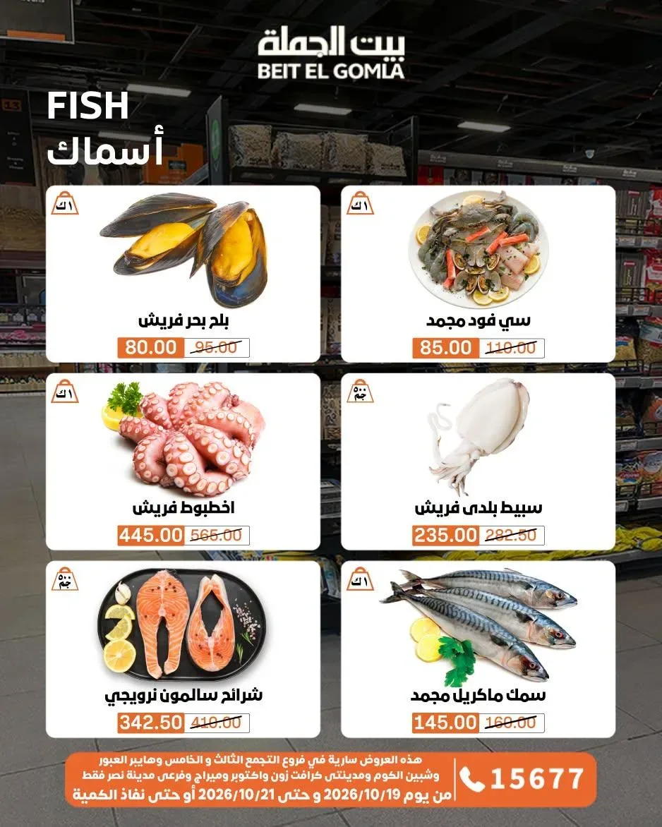 صفحة 6