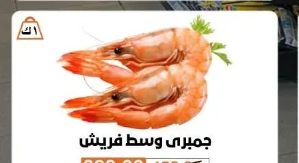 جمبري وسط فريش