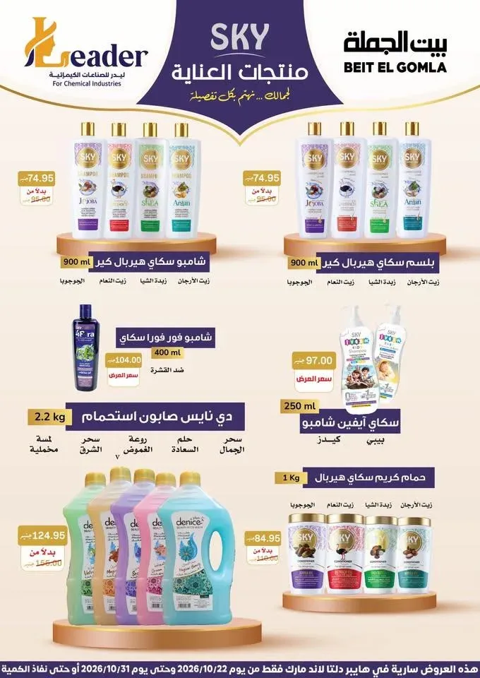 صفحة 16