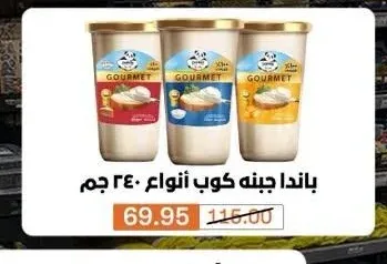 باندا جبنه كوب أنواع 240 جم
