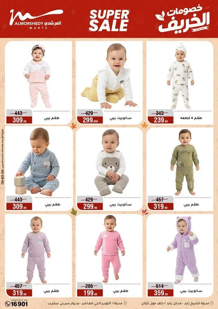 صفحة 17