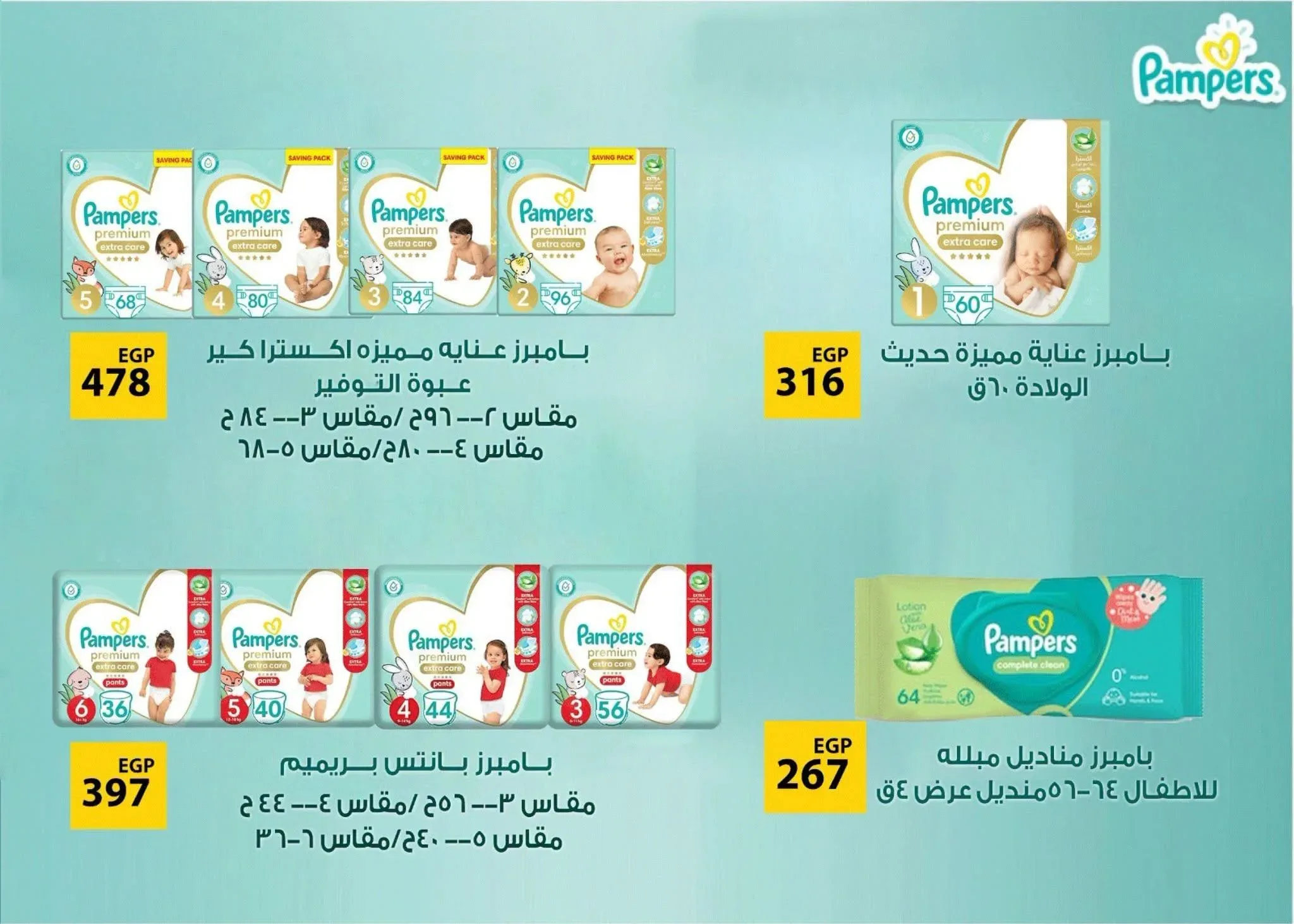 صفحة 17