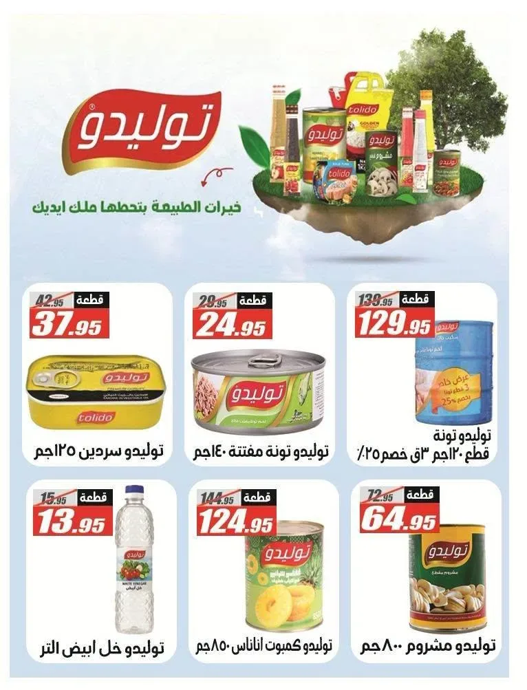 صفحة 24