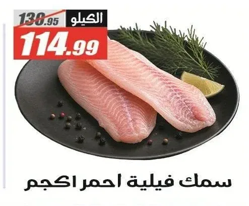 سمك فيلية احمر 1 كجم