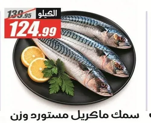 سمك ماكريل مستورد وزن