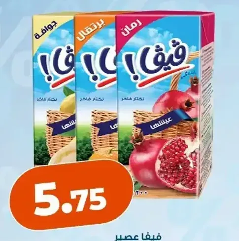 فيفا عصير أنواع مختلفة 200 مل