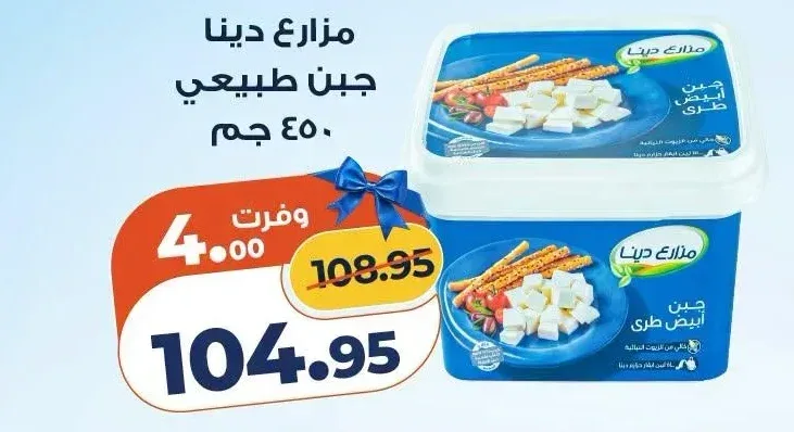 جبن طبيعي مزارع دينا 450 جم