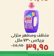 منظف ومطهر منزلي بريكس 730 مل