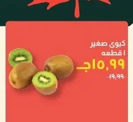 كيوي صغير 1 قطعة