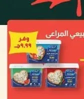 جبن أبيض طبيعي المراعي 450 جرام