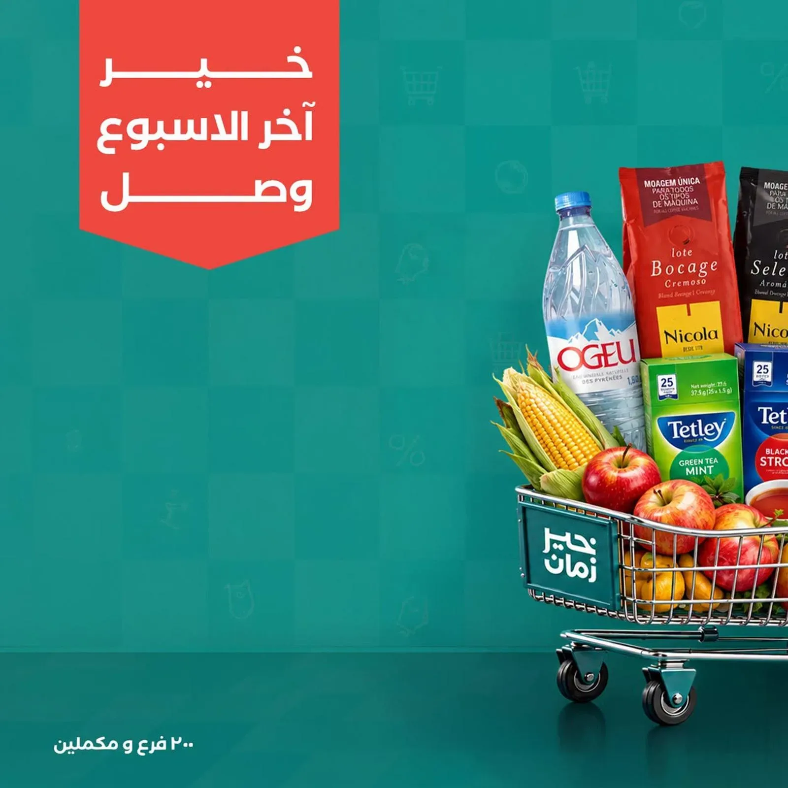 صفحة 1