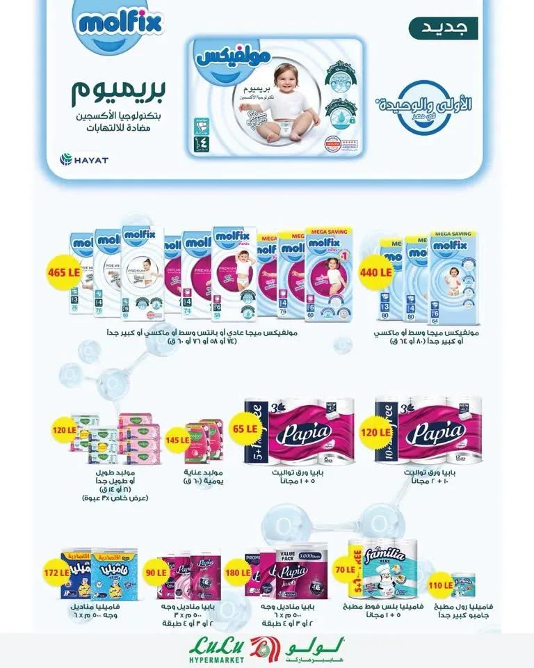 صفحة 6